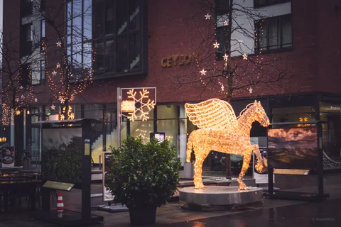Pegasus