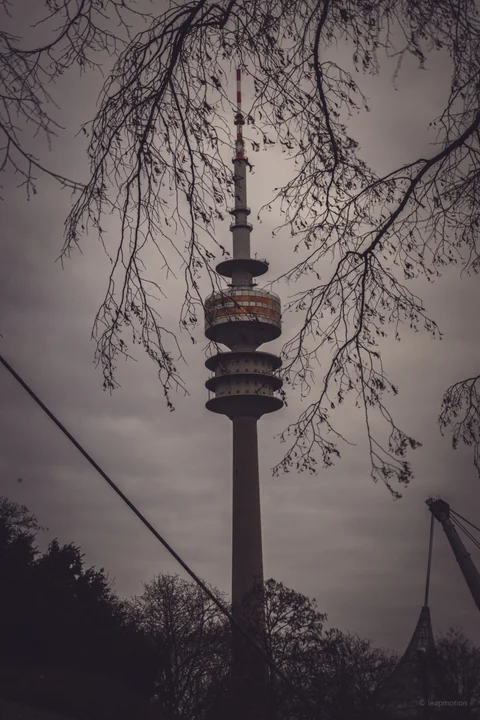 Tower through Branches
