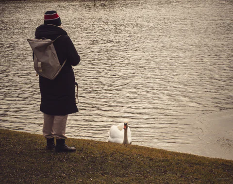 Mama and the Swan