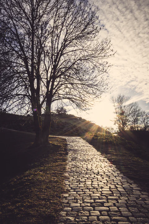 Into the Sun