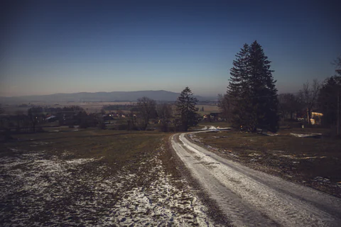 Snowy Track
