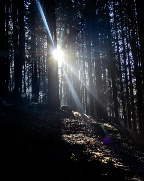 Photo taken 2025-01-19