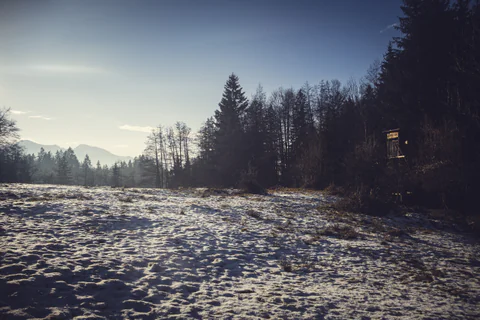 Hunting Stand