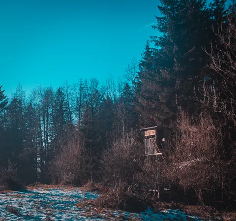 Photo taken 2025-01-19
