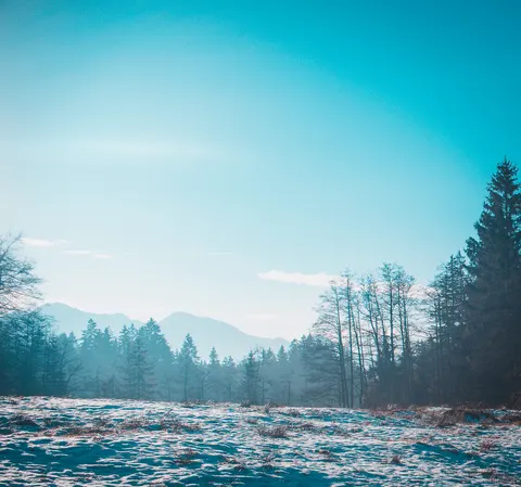 Photo taken 2025-01-19
