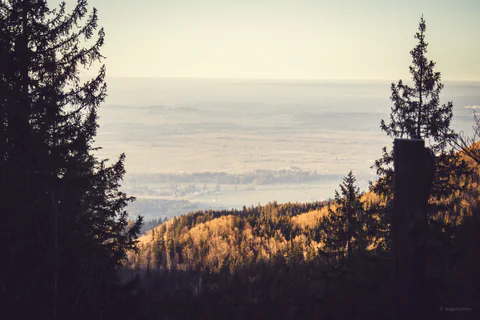 Evening View