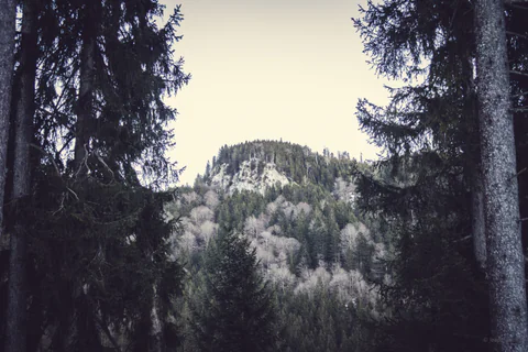 Rocky Summit