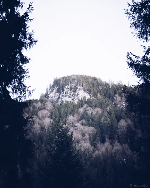 Photo taken 2025-01-19