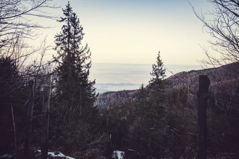 Last Light