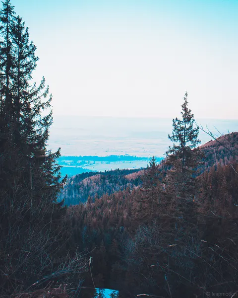 Photo taken 2025-01-19