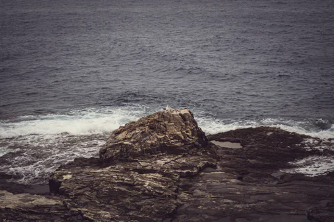 Rock in the Surf