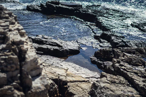Tide Pool